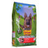 Фото #1 товара PURINA NESTLE Purina Friskies Active 10kg Dog Food