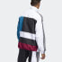 Adidas Originals Spirit Oversized ED6242 Jacket