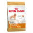 Фото #1 товара ROYAL CANIN Poodle Adult 1.5kg Dog Food