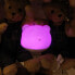 MIPOW Bear Speaker Lamp