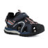 Фото #1 товара GEOX Borealis sandals