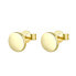 Gold-plated silver earrings AGUP1956-GOLD