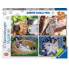 Фото #1 товара Пазлы для детей Ravensburger Маленькие котята 4x100 элементов Multicolour