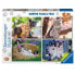 Фото #1 товара RAVENSBURGER Little Cats 4x100 Pieces Puzzle