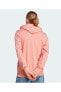 Essentials Logo Erkek Kapüşonlu Sweatshirt Ij8568
