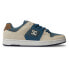DC SHOES Manteca 4 ADYS100765 trainers