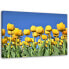 Фото #1 товара Leinwandbild Tulpen Blumen Natur