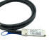 Фото #1 товара BlueOptics QSFP28-DAC-5M-LE-BL - 5 m - QSFP28 - QSFP28 - Female - Black - 100 Gbit/s