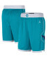 Фото #1 товара Men's Teal 2019/20 Charlotte Hornets Icon Edition Swingman Shorts