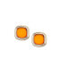 ფოტო #1 პროდუქტის Women's Orange Geometric Stone Stud Earrings
