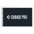 Steinberg Cubase Pro 13 EDU License Code - фото #1