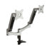 Фото #1 товара SilverStone SST-ARM22SC Dual Monitorhalterung - silber