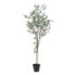 Decorative Plant Polyethylene Eucalyptus 80 x 82 x 180 cm