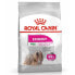 ფოტო #2 პროდუქტის ROYAL CANIN Mini Exigent Vegetable Adult 1kg Dog Food