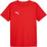 Фото #1 товара Puma Teamrise Matchday Jersey