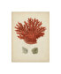 Vision Studio Antique Red Coral III Canvas Art - 20" x 25"