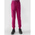 Фото #1 товара 4F Jr pants 4FJWSS24TTROF587-53S