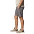 Фото #2 товара COLUMBIA Silver Ridge Utility Cargo shorts