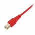 Фото #2 товара UDG Ultimate USB 2.0 Cable S1RD