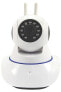 Kamera IP Prolink kamera bezprzewodowa IPC-Z06H WIFI RJ45 (018928)