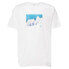 ფოტო #1 პროდუქტის OAKLEY APPAREL Snow Caps short sleeve T-shirt