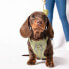 Фото #2 товара AWOO Huggie Padded Recycled Air Mesh Dog Harness - XS - Olive