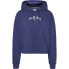 Фото #1 товара TOMMY JEANS Relax Essential Logo 2 hoodie