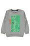 Фото #4 товара Erkek Çocuk Sweatshirt 2-5 Yaş Gri