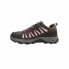 Sports Trainers for Women Salomon Eos Brown Black