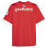 Фото #2 товара Puma Psv V Neck Short Sleeve Home Soccer Jersey Replica Mens Red 77057801