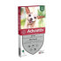 ADVANTIX 4 Antiparasitenpipetten - Fr sehr kleine Hunde von 1,5 bis 4 kg