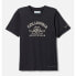 COLUMBIA Mount Echo™ short sleeve T-shirt Black / Peaked Badge, 18 лет - фото #1