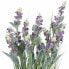 Фото #4 товара Kunstblumen Lavendel in brauner Topf