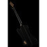 Epiphone Thunderbird Rex Brown Bass
