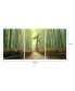 Фото #2 товара Картина на холсте Chic Home decor Pine Road 3 Piece Wrapped Wall Art Forest Scene -20" x 40"