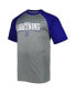 Men's Heather Gray Tampa Bay Lightning Big and Tall Logo Raglan T-shirt 2XT - фото #3