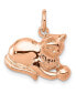 ფოტო #1 პროდუქტის Cat Charm 14k Rose Gold