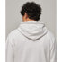 Фото #6 товара SUPERDRY Sportswear Logo Loose hoodie