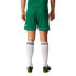 Фото #8 товара Adidas Squadra 17 M BJ9231 football shorts