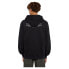 Фото #3 товара DICKIES Globe hoodie