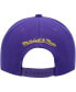 Men's Purple Los Angeles Lakers Paint By Numbers Snapback Hat