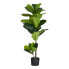 Фото #1 товара Kunstpflanze Ficus 155 cm