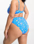 Фото #6 товара Simply Be 2 pack high leg bikini bottoms in black and blue floral