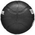 Фото #4 товара Wilson Team Tribute Toronto Raptors Mini Ball WZ4017608XB basketball