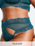 Фото #1 товара Wolf & Whistle Exclusive Curve lace trim mesh high waist cut out thong in teal