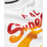 ფოტო #4 პროდუქტის SUPERDRY Tonal Vintage Logo Graphic short sleeve T-shirt