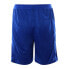 Фото #3 товара PUMA D.Alaves 23/24 Team Final 21 (Spain) Pants