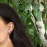 Silver earrings AGUP1569S