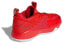 Adidas Dame Certified Basketball Shoes GY2443