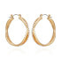 Gold-Tone Clear Glass Stone Embellished Hoop Earrings